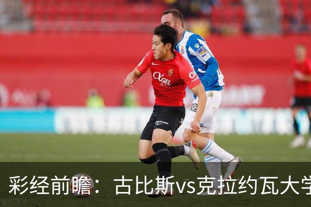 彩经前瞻：古比斯vs克拉约瓦大学，被欧冠淘汰的失意者对决